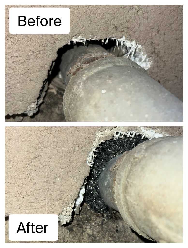 Before and after rodent exclusion sealing around a pipe penetration