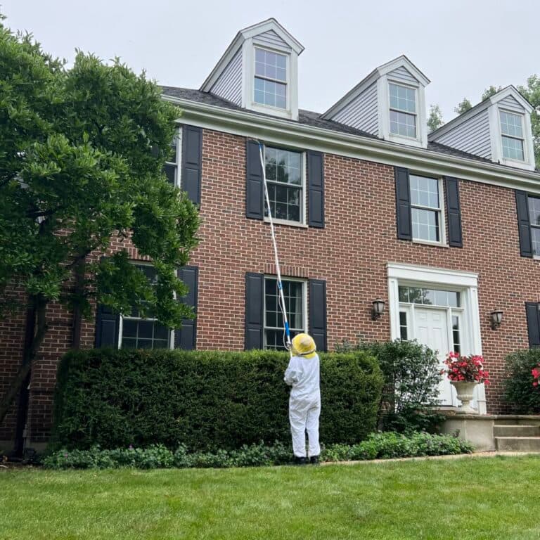 Licensed pest control technician at work
